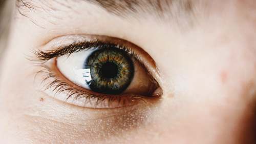 eyes right human eye eye